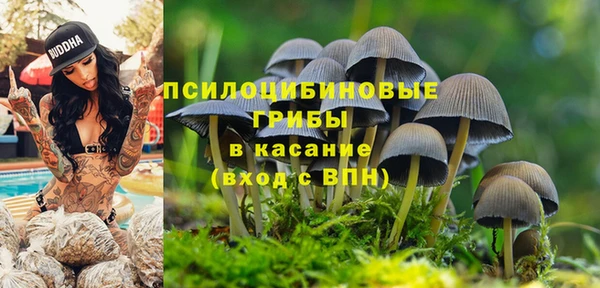 тгк Сафоново