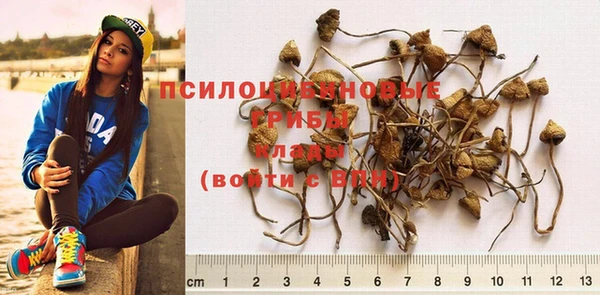 мескалин Семёнов