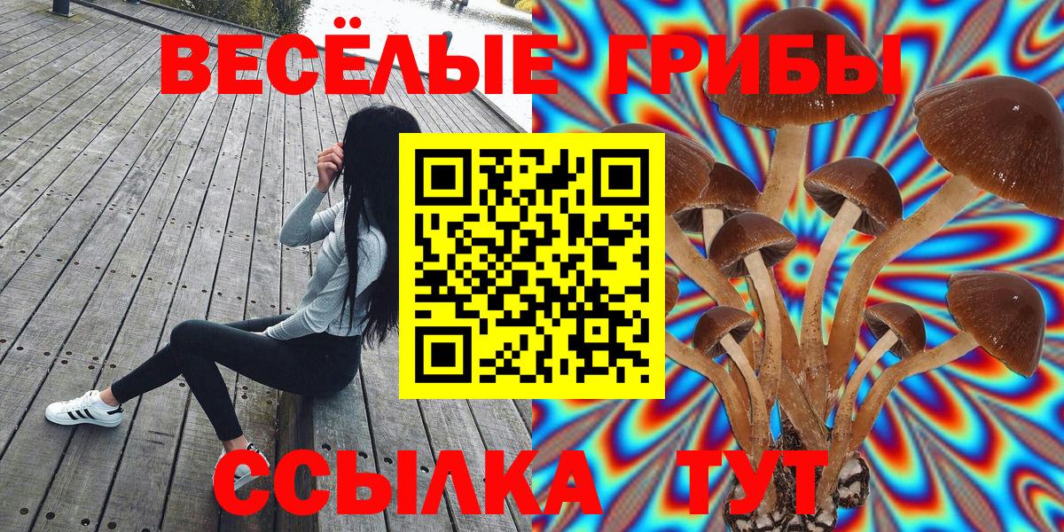 Каннабис  Белово  МЕТАМФЕТАМИН  Гашиш  Мефедрон   Вход с VPN  ЭКСТАЗИ 