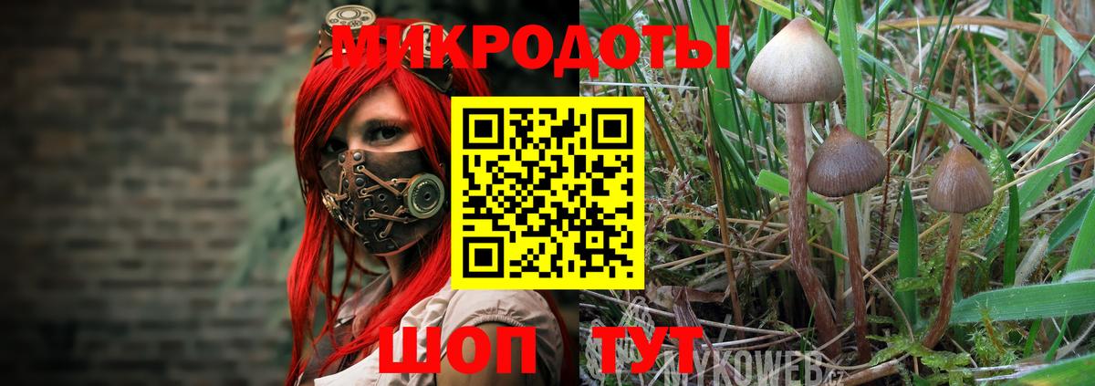Псилоцибиновые грибы мицелий Белово