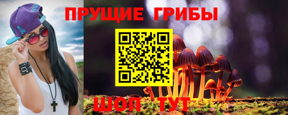 Белово  Псилоцибиновые грибы мухоморы  Галлюциногенные грибы MAGIC MUSHROOMS  Вход с VPN 